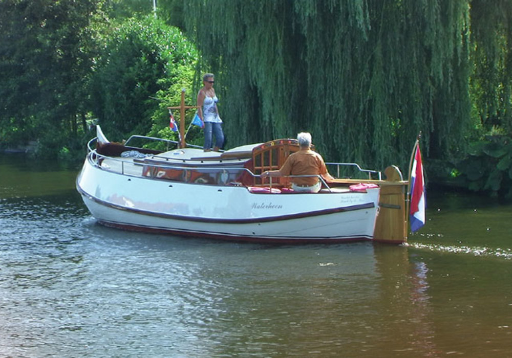 Motorbol 8.10 Waterhoen mieten